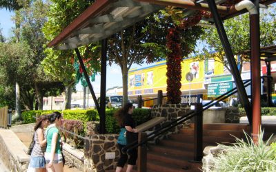 Atherton Traffic Flow Town Meeting